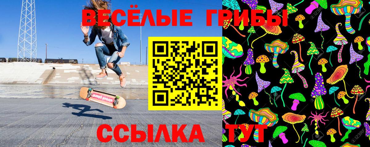 Галлюциногенные грибы Magic Shrooms  Пушкино 