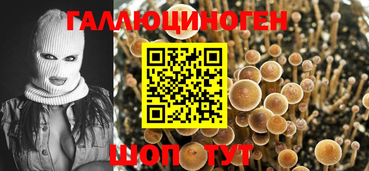 Галлюциногенные грибы Psilocybine cubensis  Вход с VPN  Пушкино  Псилоцибиновые грибы мицелий 
