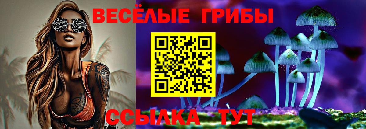 Псилоцибиновые грибы Psilocybine cubensis Пушкино