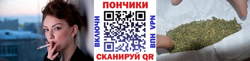 Каннабис SATIVA & INDICA  маркетплейс какой сайт  Пушкино 